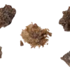 Buy Raw MDMA (Molly) Canada